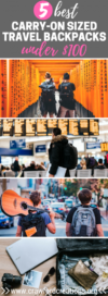 best cheap carry on backpack 5 Best Carry-On Sized Travel Backpacks Under $100 | Crawford Creations