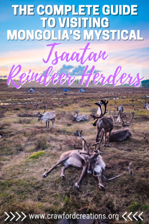 Tsaatan Reindeer Herders | Tsaatan People | Tsaatan Tour | Tsaatan Travel Guide | Tsaatan Mongolia | Reindeer Herders Mongolia | Mongolia Reindeer | Mongolia Reindeer People | Dukha Mongolia | Dukha Tour | Mongolia Photos | Mongolia Travel | Mongolia Travel Guide | Mongolia Tour | Asia Travel | Best Things To Do In Mongolia
