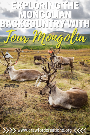 Tour Mongolia Review | Tour Mongolia | Mongolia Tour | Best Tour Company In Mongolia | Mongolia Travel