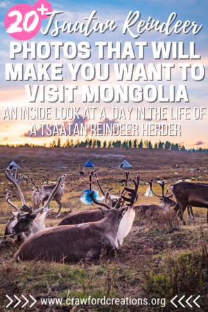 Tsaatan Reindeer Mongolia | Tsaatan Reindeer Photos | Mongolia Reindeer | Mongolia Photo Essay | Mongolia Travel | Asia Travel | Travel Photography | Mongolia Photos